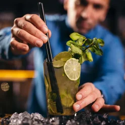 Eiswürfelbereiter Bartender Pro