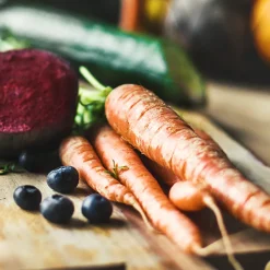 Vital Juicer Pro